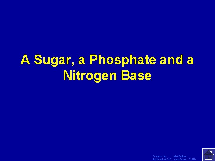 A Sugar, a Phosphate and a Nitrogen Base Template by Modified by Bill Arcuri,