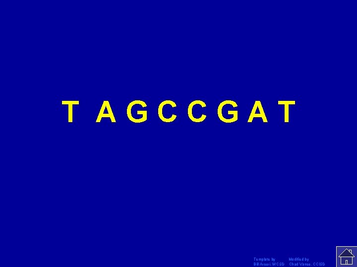 T AGCCGAT Template by Modified by Bill Arcuri, WCSD Chad Vance, CCISD 