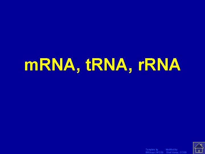 m. RNA, t. RNA, r. RNA Template by Modified by Bill Arcuri, WCSD Chad