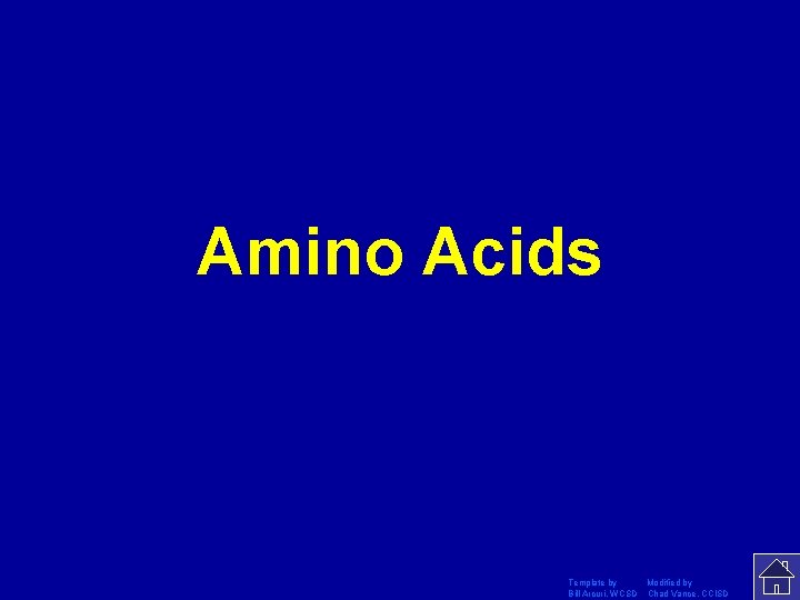 Amino Acids Template by Modified by Bill Arcuri, WCSD Chad Vance, CCISD 