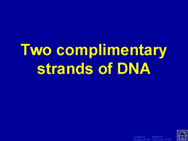 Two complimentary strands of DNA Template by Modified by Bill Arcuri, WCSD Chad Vance,