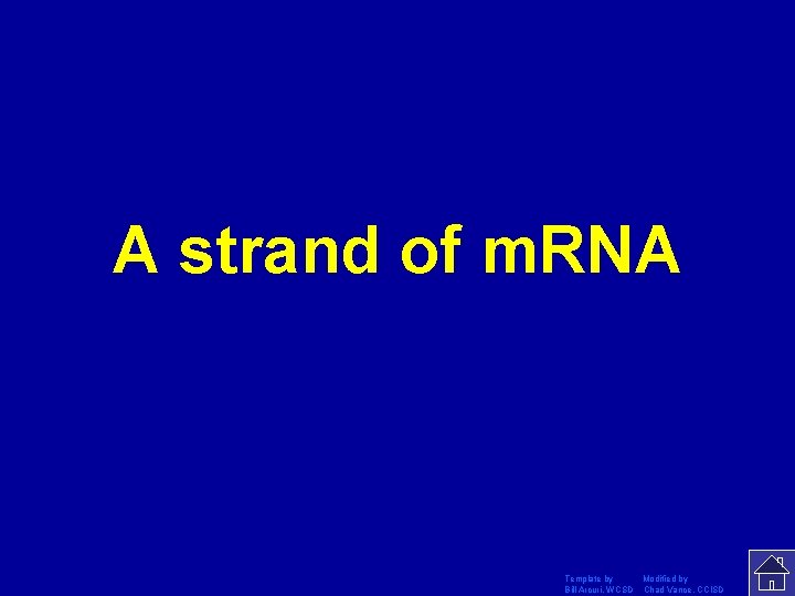 A strand of m. RNA Template by Modified by Bill Arcuri, WCSD Chad Vance,