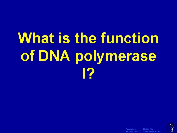 What is the function of DNA polymerase I? Template by Modified by Bill Arcuri,