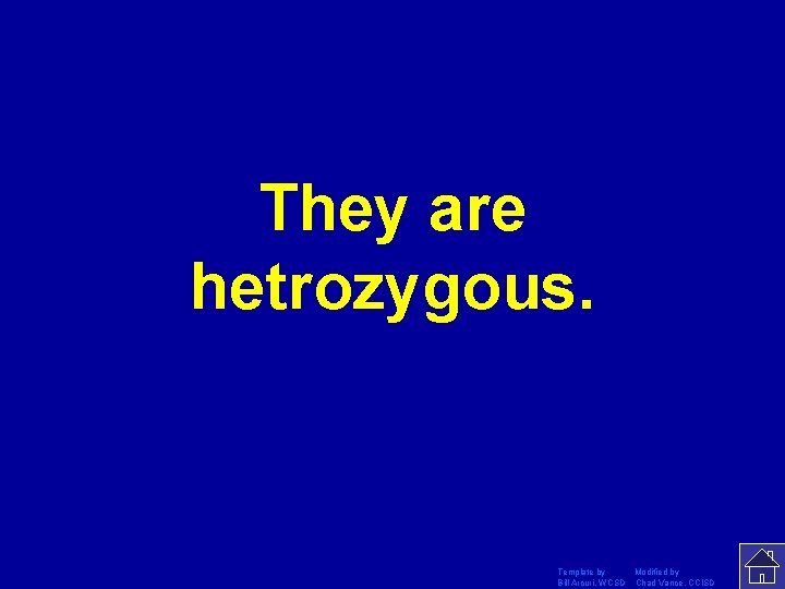 They are hetrozygous. Template by Modified by Bill Arcuri, WCSD Chad Vance, CCISD 