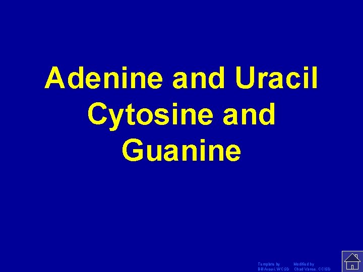 Adenine and Uracil Cytosine and Guanine Template by Modified by Bill Arcuri, WCSD Chad