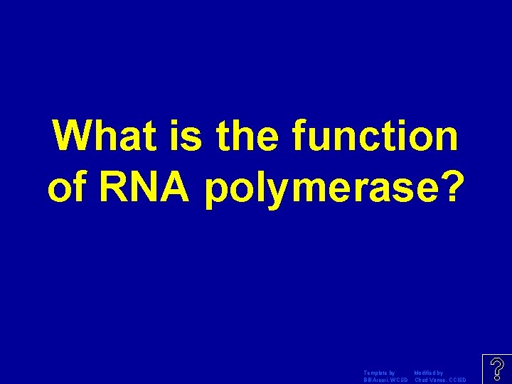 What is the function of RNA polymerase? Template by Modified by Bill Arcuri, WCSD