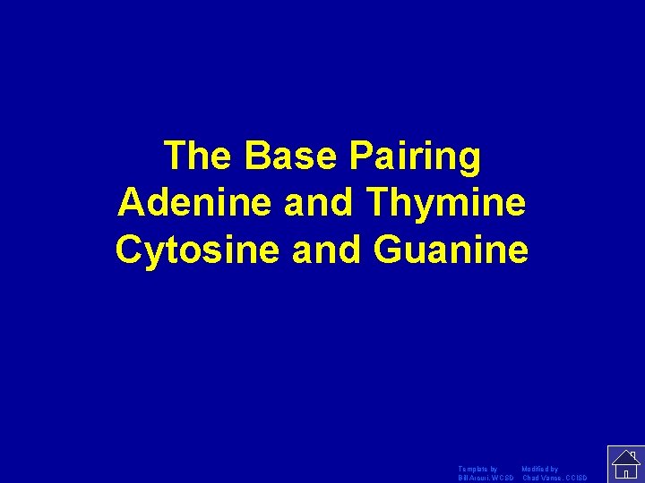 The Base Pairing Adenine and Thymine Cytosine and Guanine Template by Modified by Bill