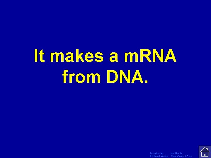 It makes a m. RNA from DNA. Template by Modified by Bill Arcuri, WCSD