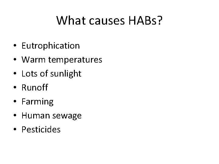 What causes HABs? • • Eutrophication Warm temperatures Lots of sunlight Runoff Farming Human