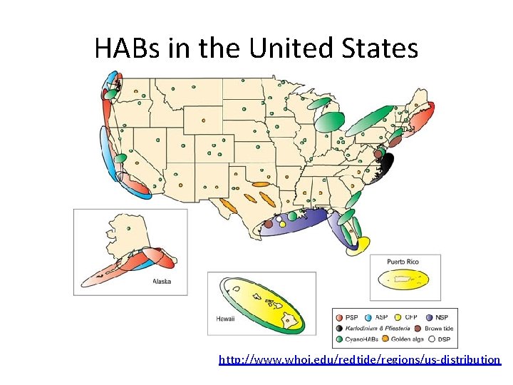 HABs in the United States http: //www. whoi. edu/redtide/regions/us-distribution 