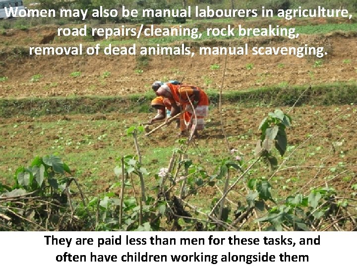 Women may also be manual labourers in agriculture, road repairs/cleaning, rock breaking, removal of