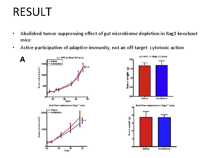 RESULT • • Abolished tumor-suppressing effect of gut microbiome depletion in Rag 1 knockout