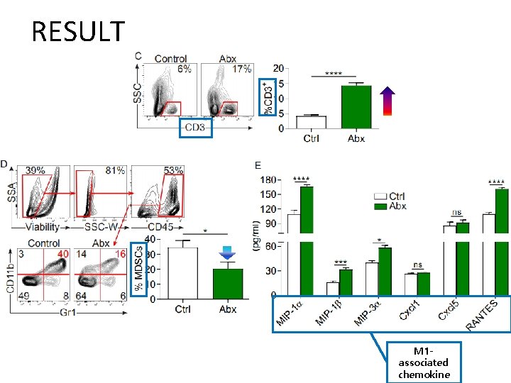 RESULT M 1 associated chemokine 