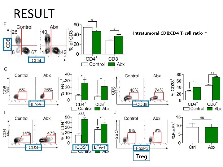 RESULT Intratumoral CD 8: CD 4 T-cell ratio ↑ Treg 