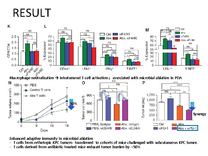 RESULT Macrophage neutralization intratumoral T-cell activation↓ associated with microbial ablation in PDA 50% Synergy