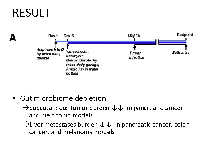 RESULT • Gut microbiome depletion Subcutaneous tumor burden ↓↓ in pancreatic cancer and melanoma