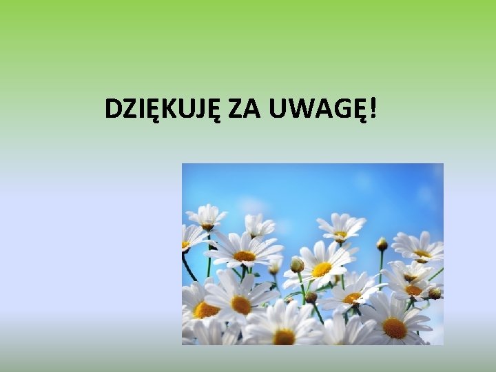 DZIĘKUJĘ ZA UWAGĘ! 