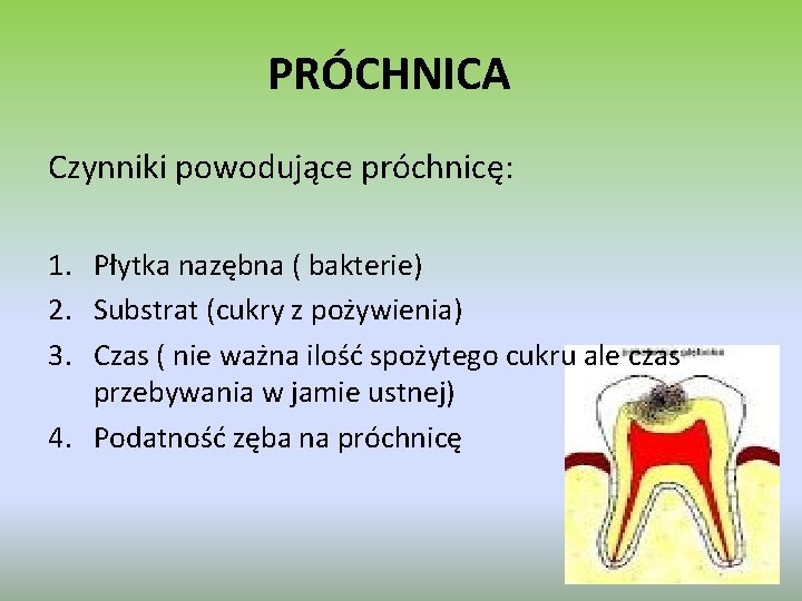 PRÓCHNICA Czynniki powodujące próchnicę: 1. Płytka nazębna ( bakterie) 2. Substrat (cukry z pożywienia)