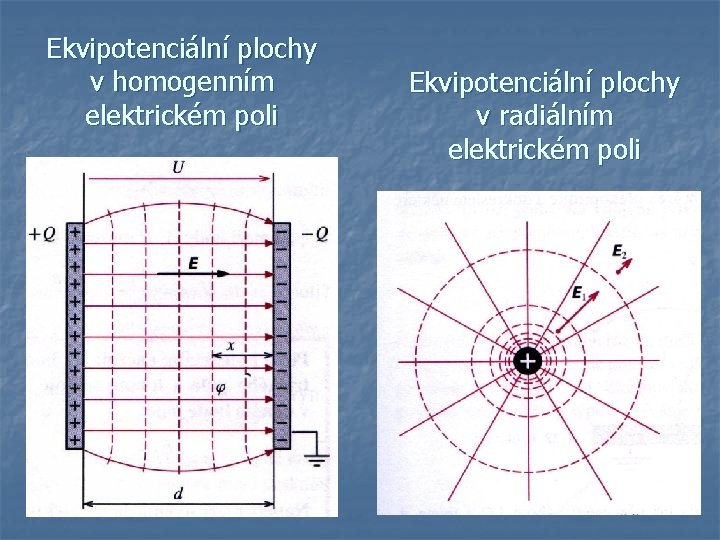 Ekvipotenciální plochy v homogenním elektrickém poli Ekvipotenciální plochy v radiálním elektrickém poli 