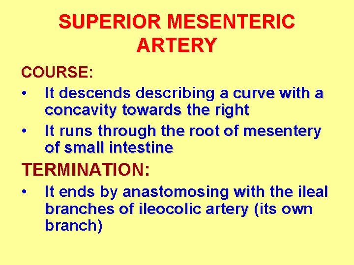 SUPERIOR MESENTERIC ARTERY COURSE: • It descends describing a curve with a concavity towards