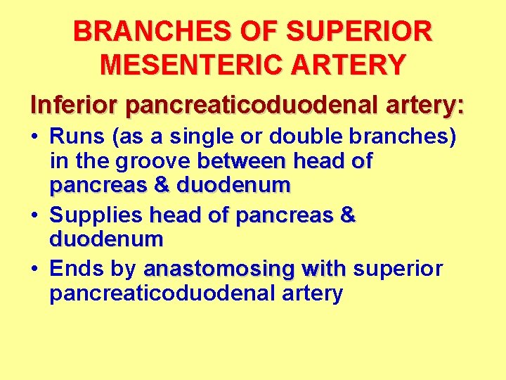 BRANCHES OF SUPERIOR MESENTERIC ARTERY Inferior pancreaticoduodenal artery: • Runs (as a single or