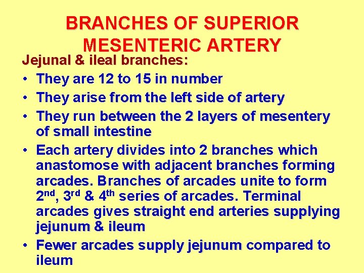 BRANCHES OF SUPERIOR MESENTERIC ARTERY Jejunal & ileal branches: • They are 12 to