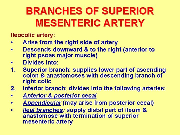 BRANCHES OF SUPERIOR MESENTERIC ARTERY Ileocolic artery: • Arise from the right side of