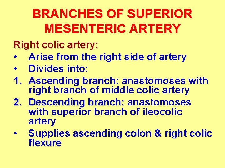 BRANCHES OF SUPERIOR MESENTERIC ARTERY Right colic artery: • Arise from the right side