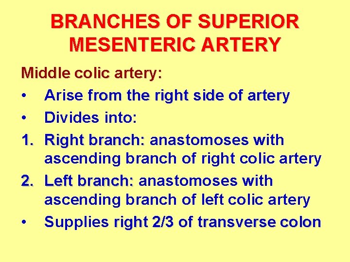 BRANCHES OF SUPERIOR MESENTERIC ARTERY Middle colic artery: • Arise from the right side