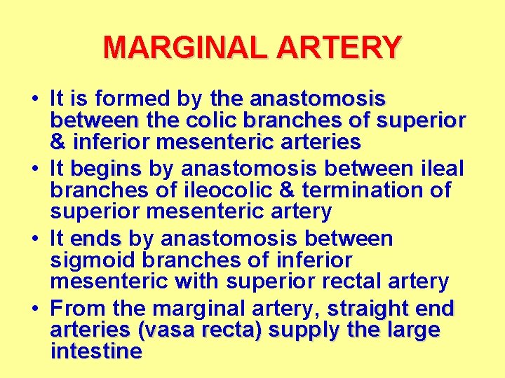 MARGINAL ARTERY • It is formed by the anastomosis between the colic branches of