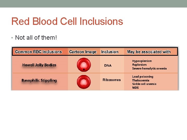 Red Blood Cell Inclusions • Not all of them!  Red Blood Cell Inclusions • Not all of them!