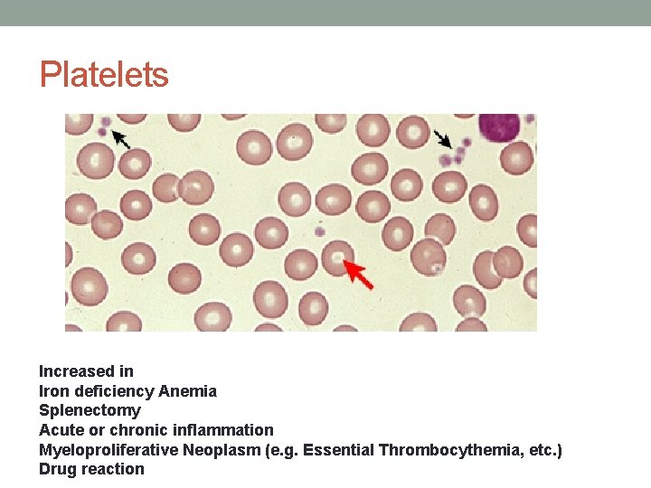 INTRODUCTION TO THE PERIPHERAL BLOOD SMEAR Rafi Ahmed INTRODUCTION TO THE PERIPHERAL BLOOD SMEAR Rafi Ahmed