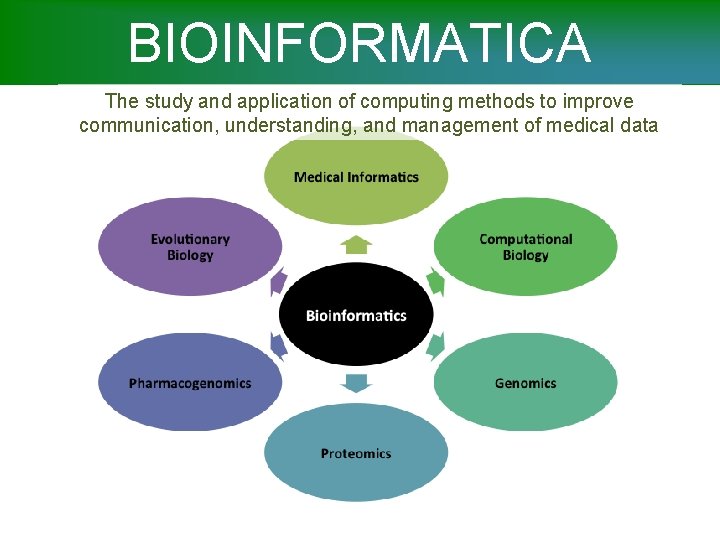 BIOINFORMATICA The study and application of computing methods to improve communication, understanding, and management