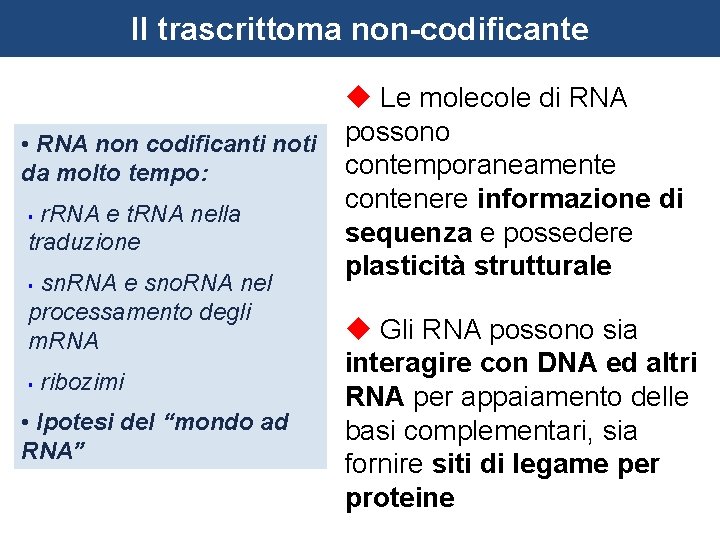 Il trascrittoma non-codificante u Le molecole di RNA • RNA non codificanti noti possono