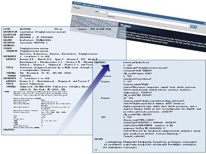 LOCUS DEFINITION ACCESSION VERSION DBLINK DBSOURCE KEYWORDS SOURCE ORGANISM REFERENCE AUTHORS TITLE JOURNAL PUBMED