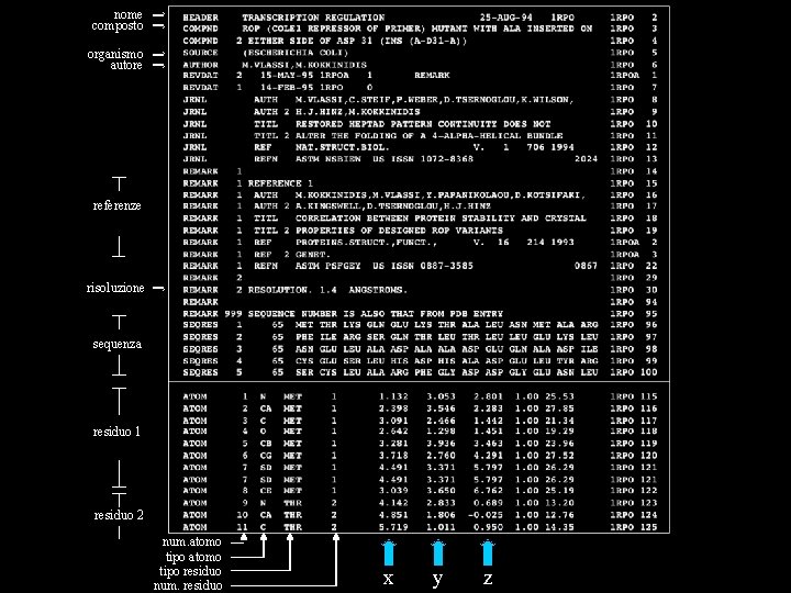 nome composto organismo autore referenze risoluzione sequenza residuo 1 residuo 2 num. atomo tipo