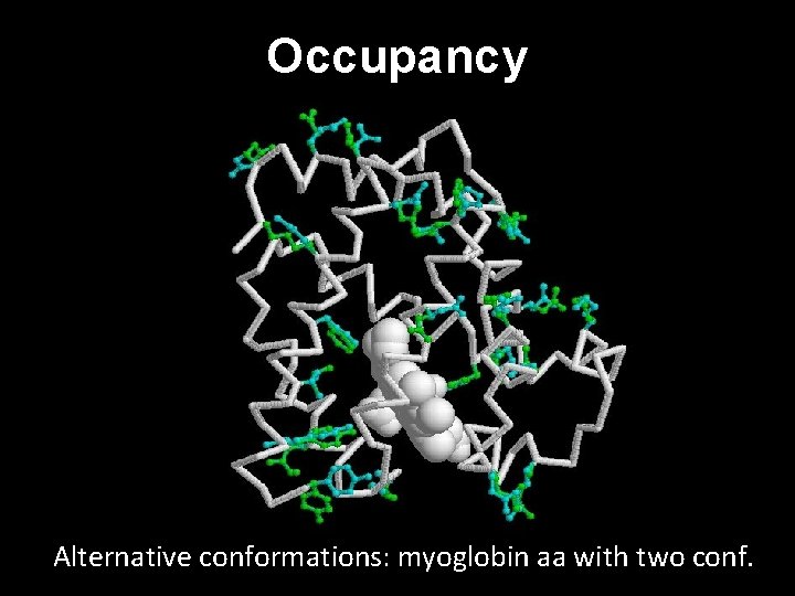 Occupancy Alternative conformations: myoglobin aa with two conf. 