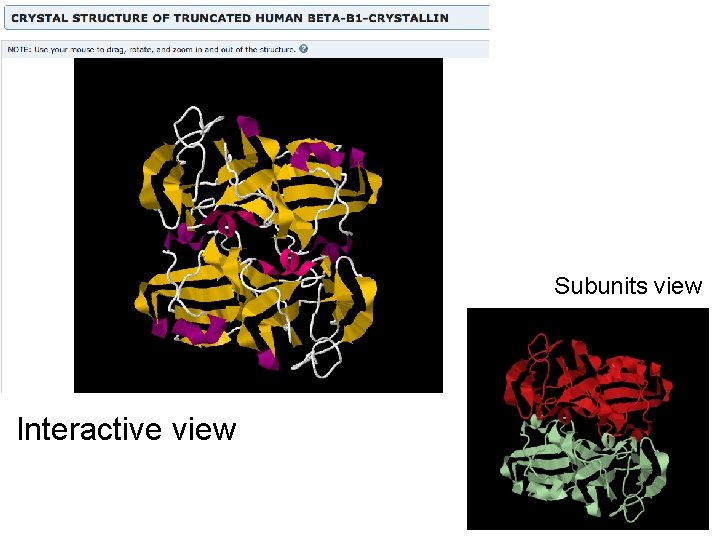 Subunits view Interactive view 
