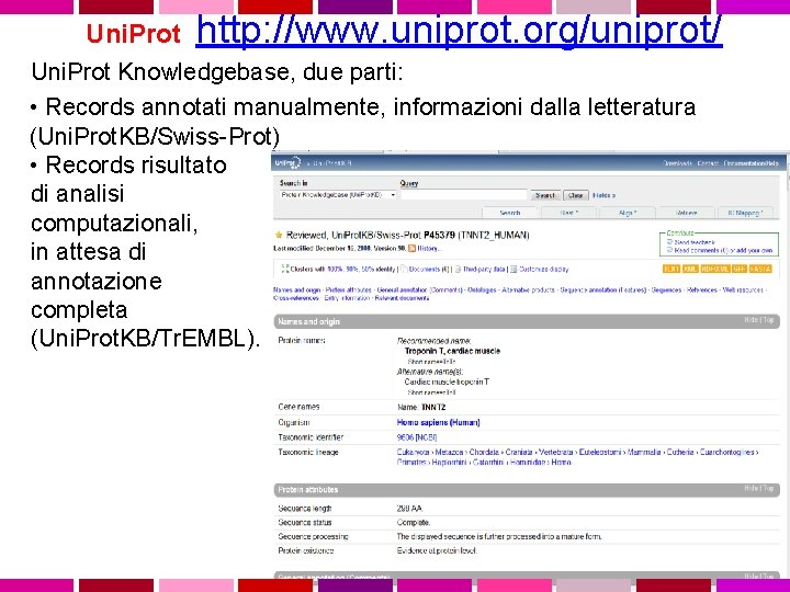  Uni. Prot http: //www. uniprot. org/uniprot/ Uni. Prot Knowledgebase, due parti: • Records