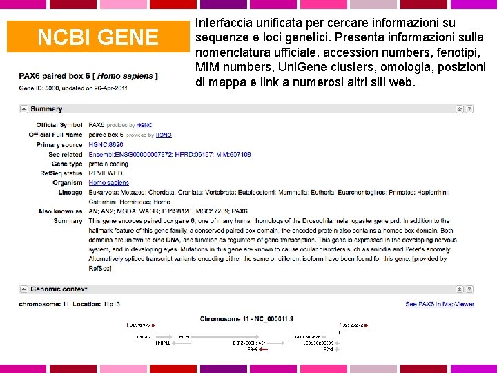  NCBI GENE Interfaccia unificata per cercare informazioni su sequenze e loci genetici. Presenta