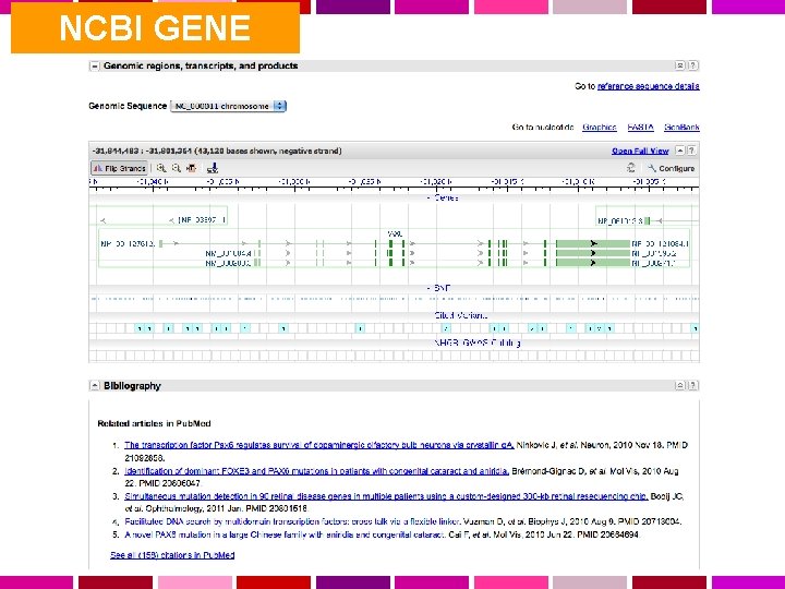 NCBI GENE 