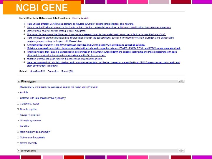 NCBI GENE 