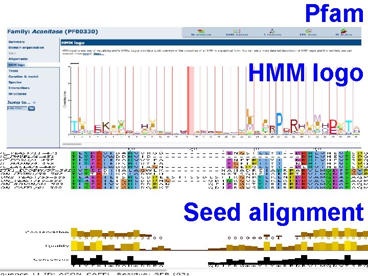 Pfam HMM logo Seed alignment 