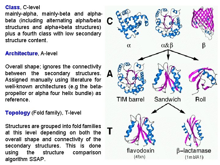 Class, C-level mainly-alpha, mainly-beta and alphabeta (including alternating alpha/beta structures and alpha+beta structures) plus