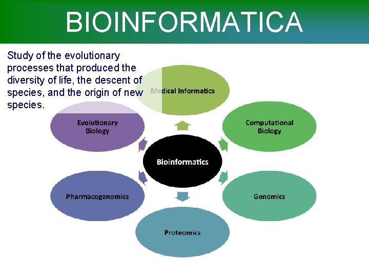 BIOINFORMATICA Study of the evolutionary processes that produced the diversity of life, the descent