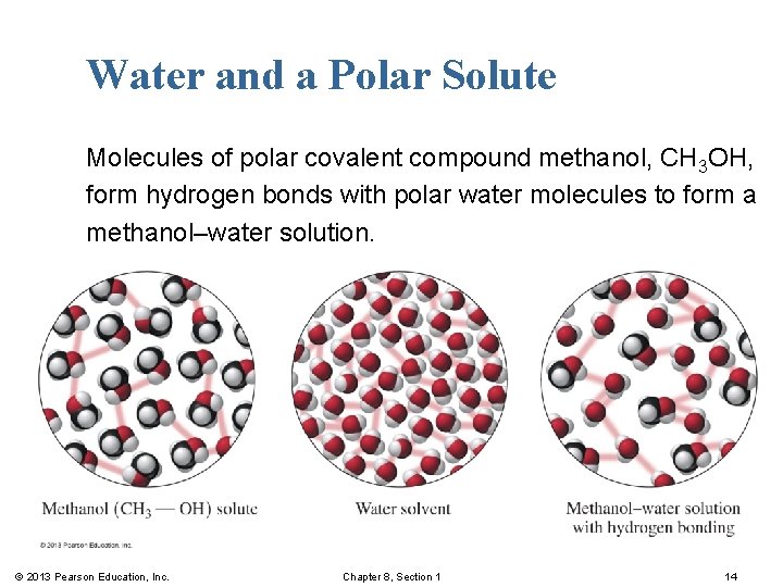 Water and a Polar Solute Molecules of polar covalent compound methanol, CH 3 OH,