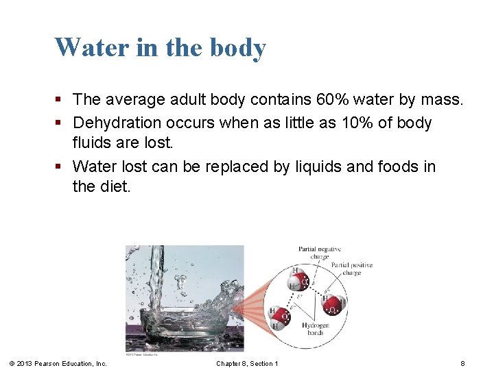 Water in the body § The average adult body contains 60% water by mass.