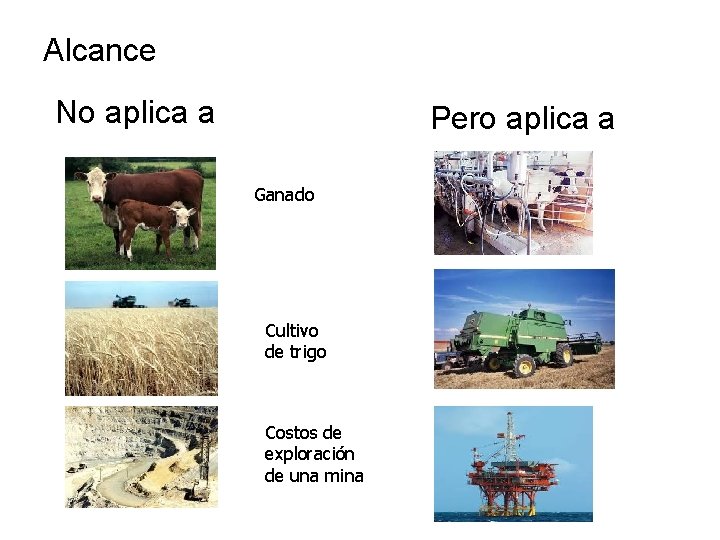 Alcance No aplica a Pero aplica a Ganado Cultivo de trigo Costos de exploración