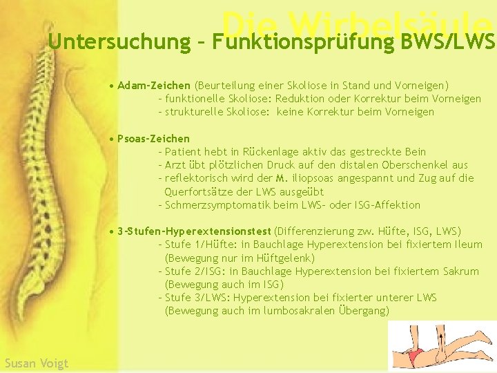 Die Wirbelsäule Untersuchung – Funktionsprüfung BWS/LWS • Adam-Zeichen (Beurteilung einer Skoliose in Stand und