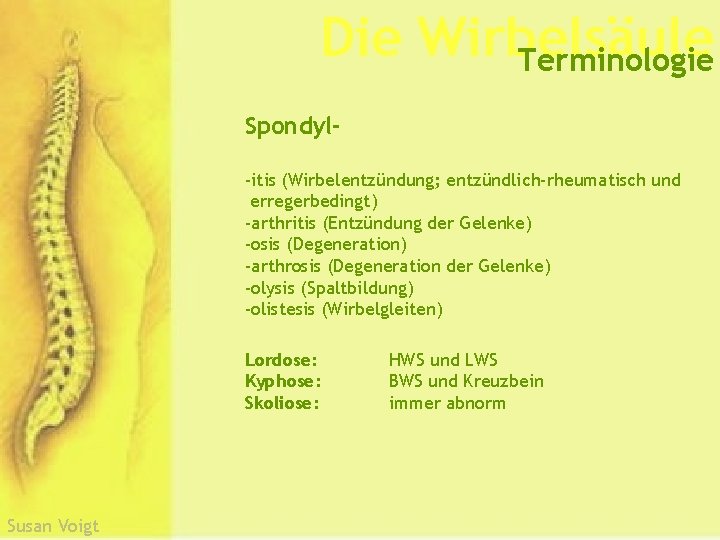 Die Wirbelsäule Terminologie Spondyl-itis (Wirbelentzündung; entzündlich-rheumatisch und erregerbedingt) -arthritis (Entzündung der Gelenke) -osis (Degeneration)